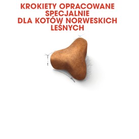 ROYAL CANIN NORWEGIAN FOREST CAT Adult 2kg - Zdjęcie nr 4