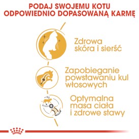 ROYAL CANIN NORWEGIAN FOREST CAT Adult 2kg - Zdjęcie nr 5