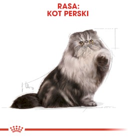 ROYAL CANIN PERSIAN Adult 4kg - Zdjęcie nr 3