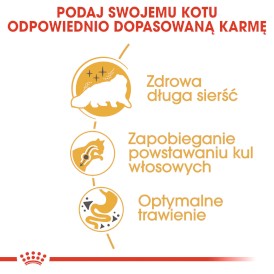 ROYAL CANIN PERSIAN Adult 4kg - Zdjęcie nr 5