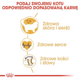 ROYAL CANIN RAGDOLL Adult 10kg - Zdjęcie nr 5