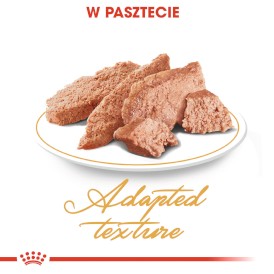 ROYAL CANIN Persian Adult w pasztecie 12x85g - Zdjęcie nr 5