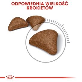 ROYAL CANIN Hairball Care 10kg - Zdjęcie nr 5