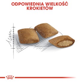 ROYAL CANIN Ageing 12+ Senior 4kg - Zdjęcie nr 5