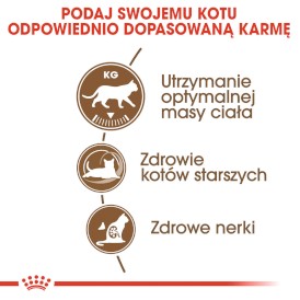 ROYAL CANIN Ageing 12+ Senior Sterilised 2kg - Zdjęcie nr 4