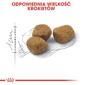 ROYAL CANIN FIT 32 400g - Zdjęcie nr 4