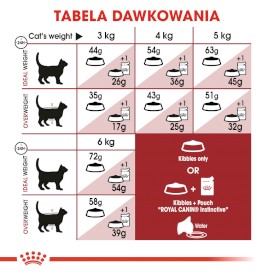 ROYAL CANIN FIT 32 400g - Zdjęcie nr 5