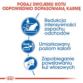 ROYAL CANIN Indoor 27 4kg - Zdjęcie nr 4
