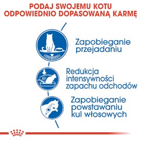 ROYAL CANIN Indoor Appetite Control 2kg - Zdjęcie nr 3