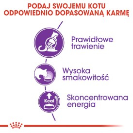 ROYAL CANIN Sensible Feline 33 400g - Zdjęcie nr 3
