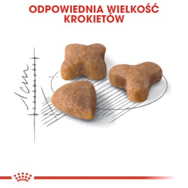 ROYAL CANIN Sensible Feline 33 400g - Zdjęcie nr 4