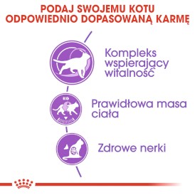 ROYAL CANIN Sterilised 7+ Feline 400g - Zdjęcie nr 4