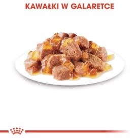 ROYAL CANIN Ageing 12+ w galaretce 12x85g - Zdjęcie nr 6