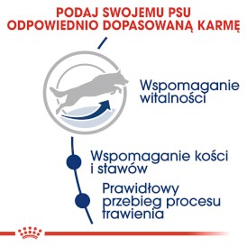 ROYAL CANIN Maxi Adult 5+ 15kg - Zdjęcie nr 4