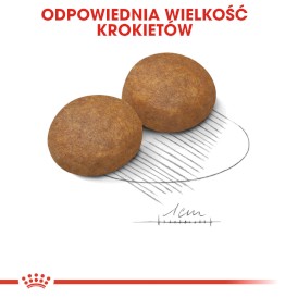 ROYAL CANIN Maxi Adult 5+ 15kg - Zdjęcie nr 5