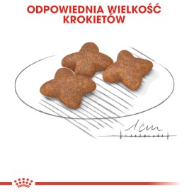 ROYAL CANIN Mini Adult S 8kg - Zdjęcie nr 7