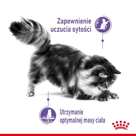 ROYAL CANIN Appetite Control Care 2kg - Zdjęcie nr 3