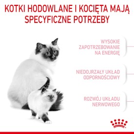 ROYAL CANIN Mother / BABYCAT 4kg - Zdjęcie nr 4