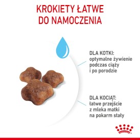 ROYAL CANIN Mother / BABYCAT 4kg - Zdjęcie nr 6