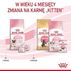 ROYAL CANIN Mother / BABYCAT 4kg - Zdjęcie nr 7