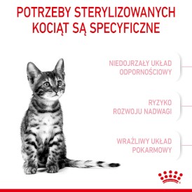 ROYAL CANIN Kitten Sterilised Feline 3,5kg - Zdjęcie nr 4