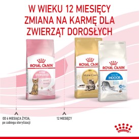 ROYAL CANIN Kitten Sterilised Feline 2kg - Zdjęcie nr 7
