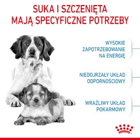 ROYAL CANIN Medium Starter Mother / Babydog 15kg - Zdjęcie nr 4