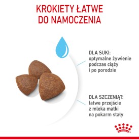 ROYAL CANIN Medium Starter Mother / Babydog 15kg - Zdjęcie nr 6