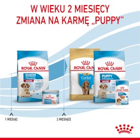 ROYAL CANIN Medium Starter Mother / Babydog 15kg - Zdjęcie nr 7