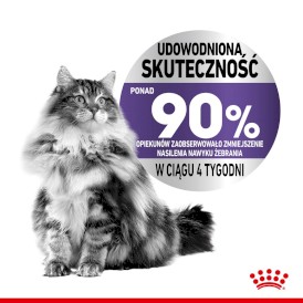 ROYAL CANIN Appetite Control Care w galaretce 85g - Zdjęcie nr 4