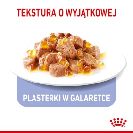 ROYAL CANIN Appetite Control Care w galaretce 85g - Zdjęcie nr 5