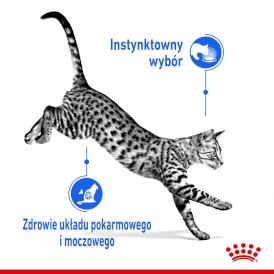 ROYAL CANIN Indoor Sterilised w sosie 85g - Zdjęcie nr 3