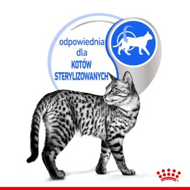 ROYAL CANIN Indoor Sterilised w galaretce 85g - Zdjęcie nr 4