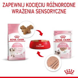 ROYAL CANIN KITTEN w pasztecie 12x85g - Zdjęcie nr 7