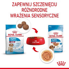 ROYAL CANIN Medium Puppy w sosie 10x140g - Zdjęcie nr 7