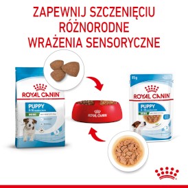 ROYAL CANIN Mini Puppy w sosie 12x85g - Zdjęcie nr 7