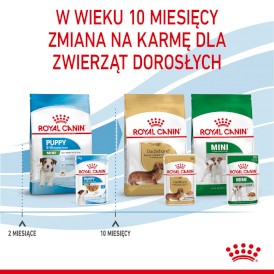 ROYAL CANIN Mini Puppy w sosie 12x85g - Zdjęcie nr 10