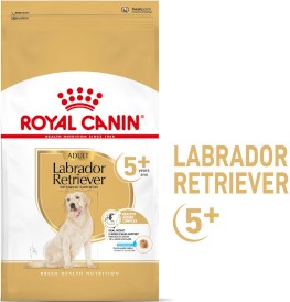 ROYAL CANIN Labrador Retriever Adult 5+ 3kg - Zdjęcie główne