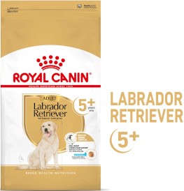 ROYAL CANIN Labrador Retriever Adult 5+ 12kg - Zdjęcie główne
