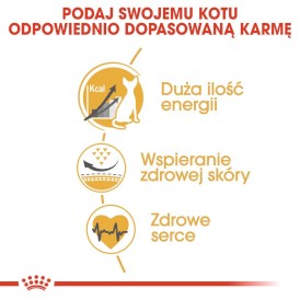 ROYAL CANIN SPHYNX Adult 400g - Zdjęcie nr 5
