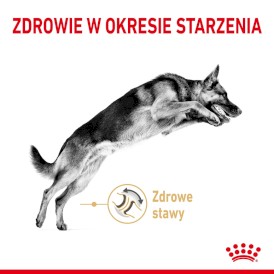 ROYAL CANIN German Shepherd Adult 5+ Owczarek Niemiecki 12kg - Zdjęcie nr 3