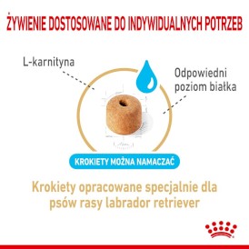 ROYAL CANIN Labrador Retriever Adult 5+ 3kg - Zdjęcie nr 4
