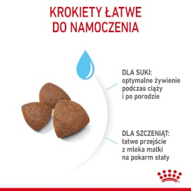ROYAL CANIN Medium Starter Mother / Babydog 4kg - Zdjęcie nr 6