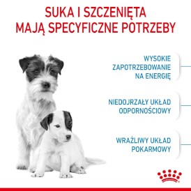 ROYAL CANIN Mini Starter Mother / Babydog 4kg - Zdjęcie nr 4