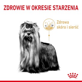 ROYAL CANIN Yorkshire Terrier 8+ Adult 3kg - Zdjęcie nr 3
