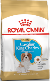 ROYAL CANIN Cavalier King Charles Puppy 1,5kg - Zdjęcie nr 2