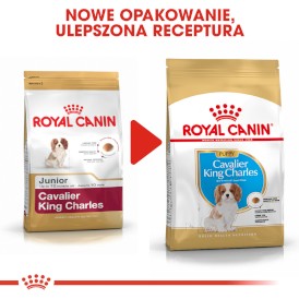 ROYAL CANIN Cavalier King Charles Puppy 1,5kg - Zdjęcie nr 7
