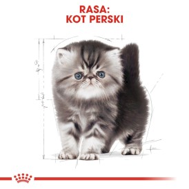 ROYAL CANIN PERSIAN Kitten 10kg - Zdjęcie nr 3