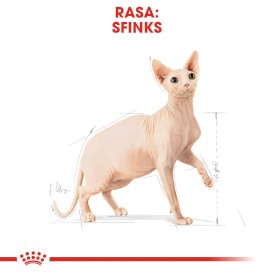 ROYAL CANIN SPHYNX Adult 2kg - Zdjęcie nr 3