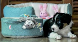 ZOLUX Legowisko Puppy dla szczeniąt 45cm - Zdjęcie nr 4